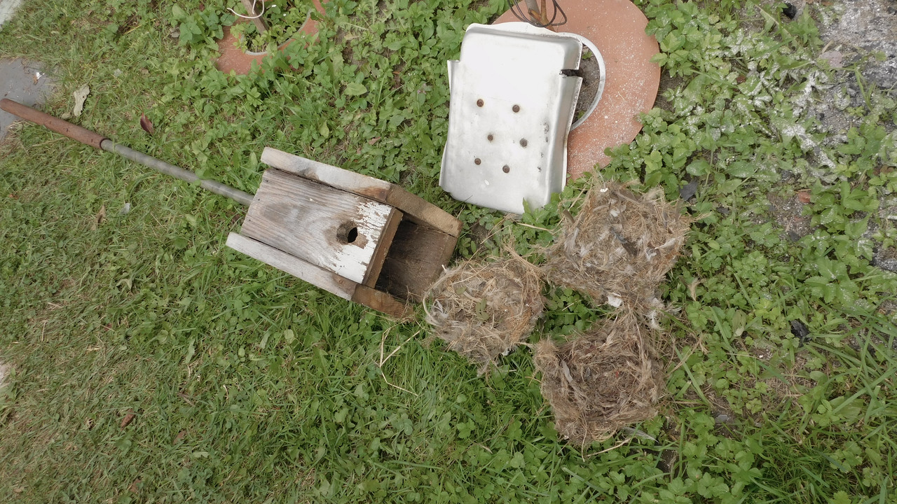 Дачное и  к Хелл сентябрь 2023 001