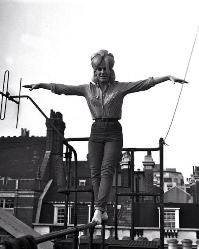 dusty_springfield_a81