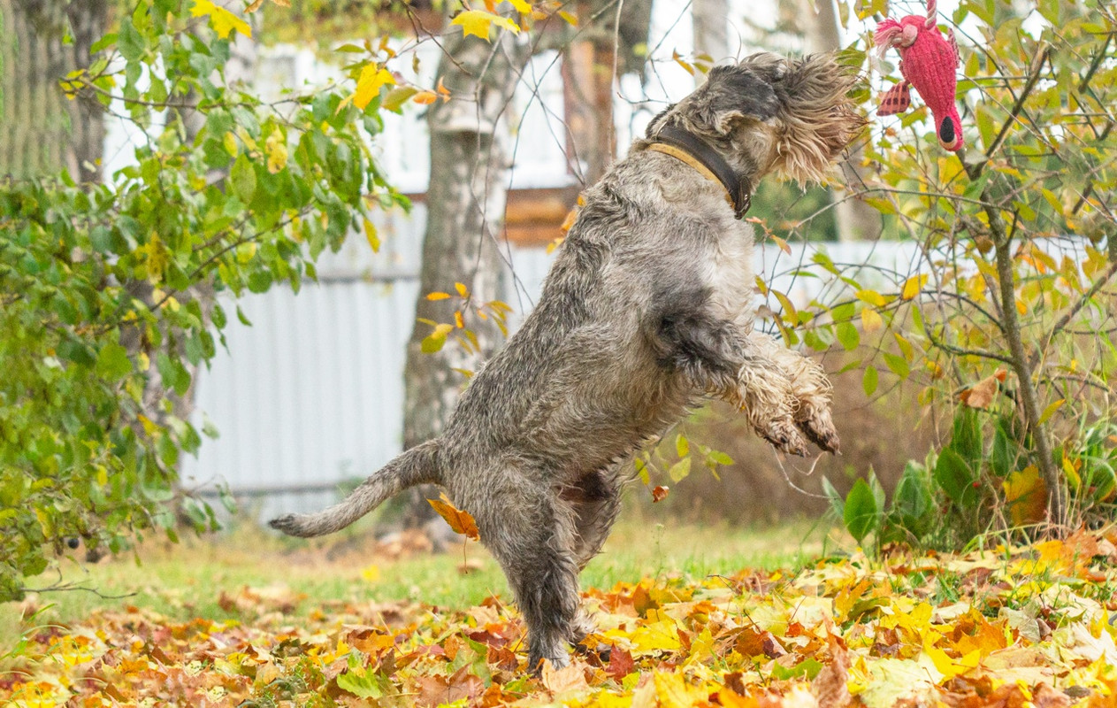 MWWT_BGwFRFwLQYist9CFejyRgNVquq8hmyo2sL3hcMgpLdlEXPXbWxjSmSovbqKYbbkUo2qSaGimd7H_BseCmoZ