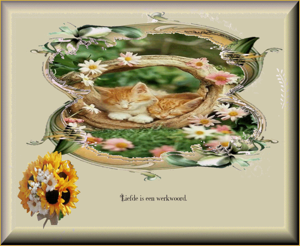 middenplaatje-11-juli)2021