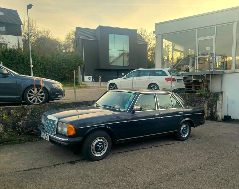 merc115,123 (2)