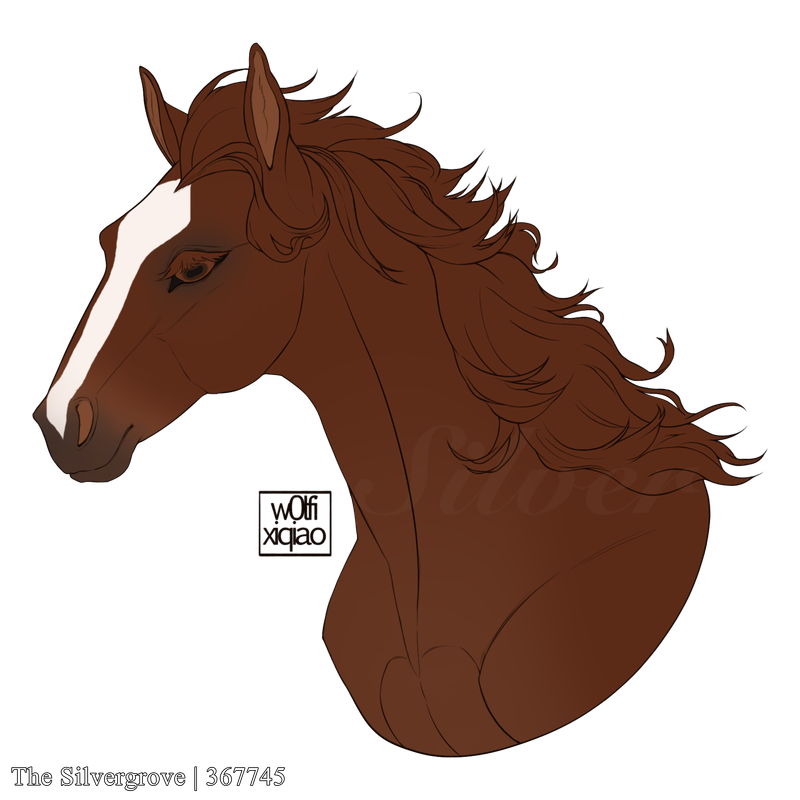 Untitled202-20240830033811.png