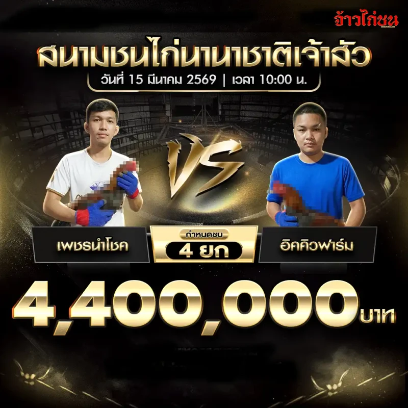 โปรแกรมไก่ชน คู่ เพชรนำโชค พบ อิคคิวฟาร์ม สนามชนไก่นานาชาติเจ้าสัว 15 มีนาคม 2569