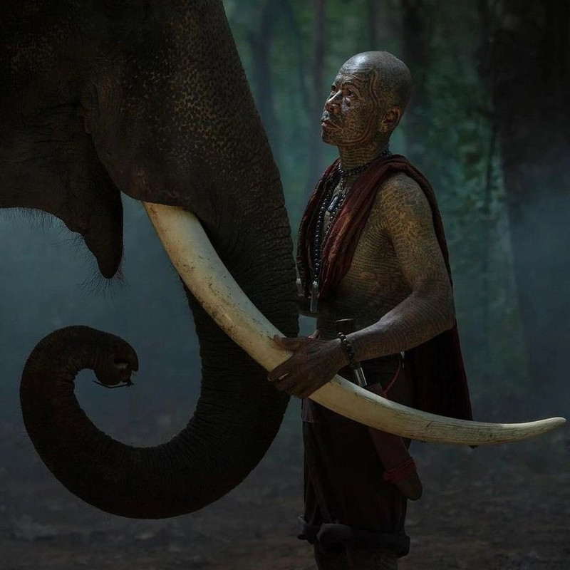 погонщик слонов сара ваутерс 2