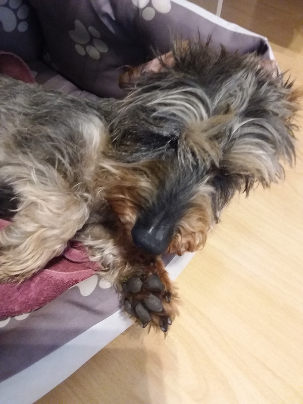 [Image: 20220705-141027.jpg]