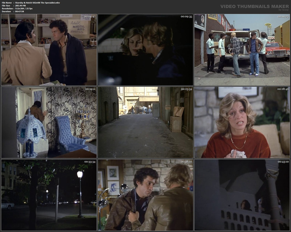 Starsky & Hutch S02e08 The Specialist.mkv