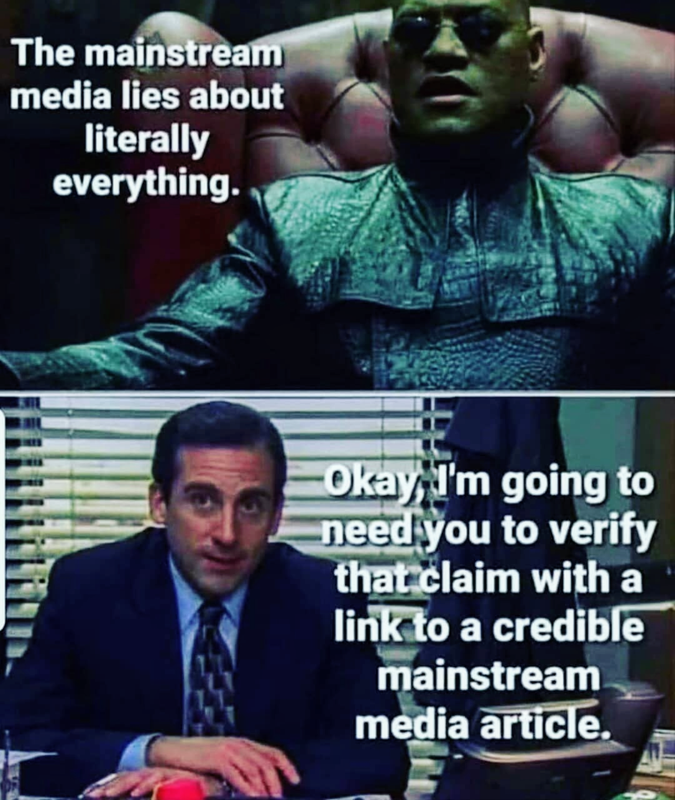 msm-media-lies.png