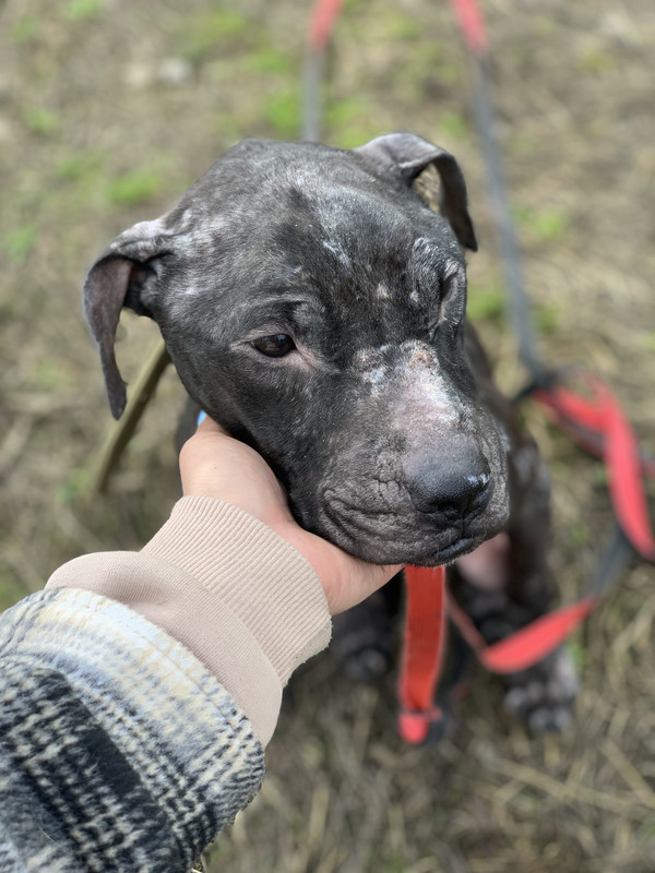 C0D02A84-5659-4782-BBF9-CD7D7C882BE7