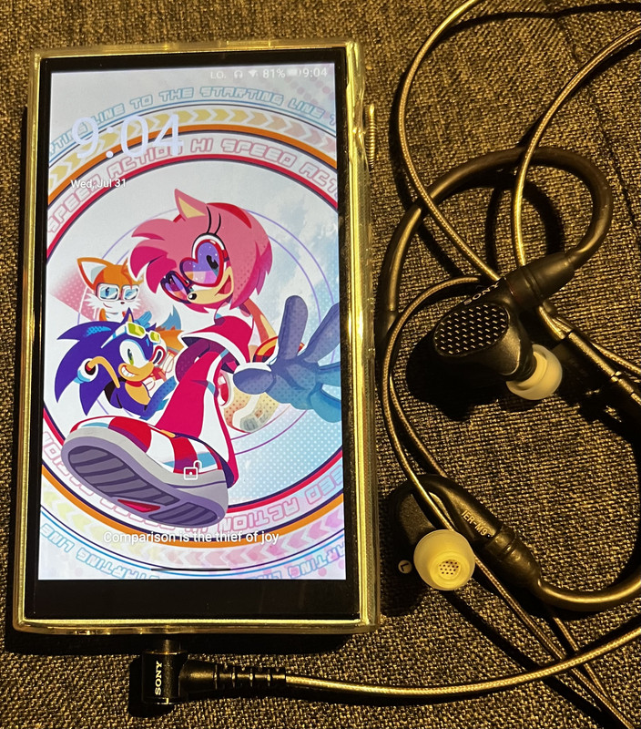 What does /iemg/ value the most in an IEM?