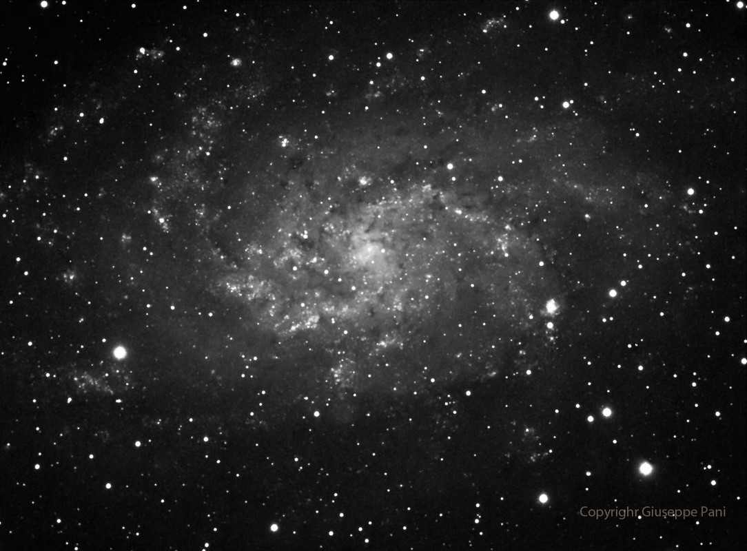 M33