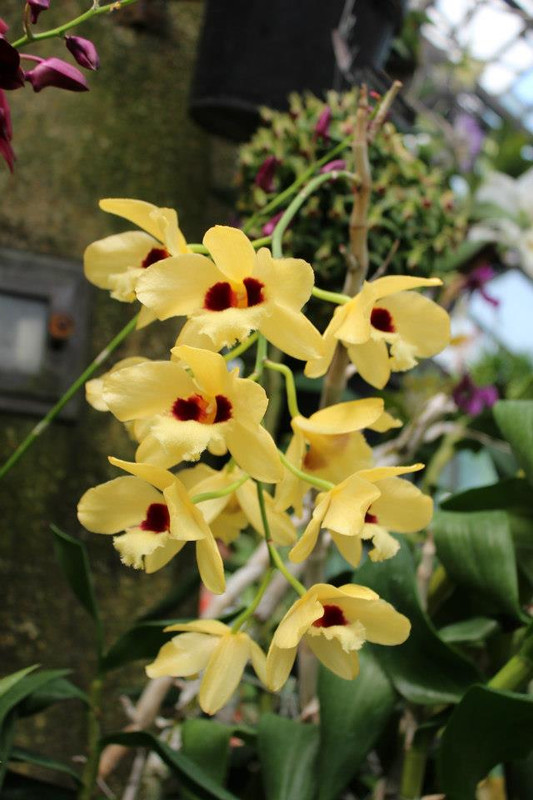 934E46B7-221A-4142-AC7D-5B6ED560BB8C