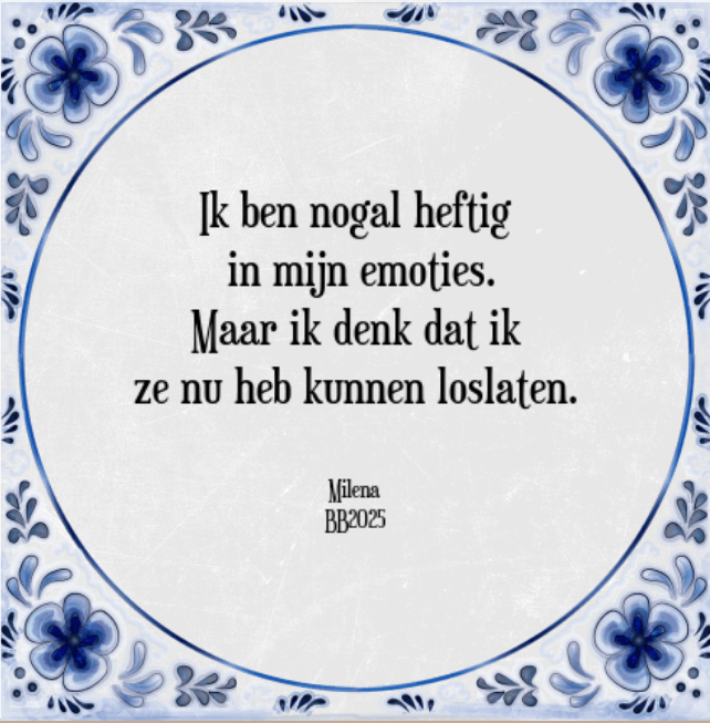 Schermafbeelding-2025-01-08-232446.png