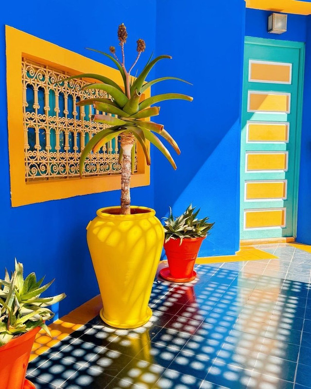 yellow-plant-pot.jpg