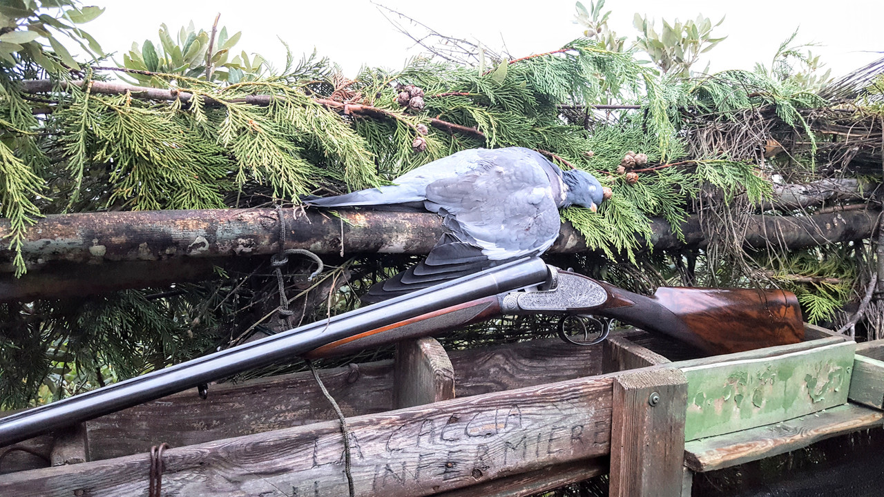 AC3445E3-E46D-4736-A6C9-665ACFDD1731