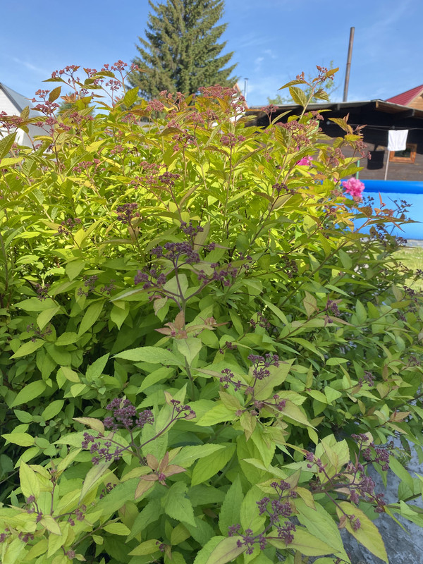 6243FA0B-4B70-4AE9-A4BD-A02B8D99A962