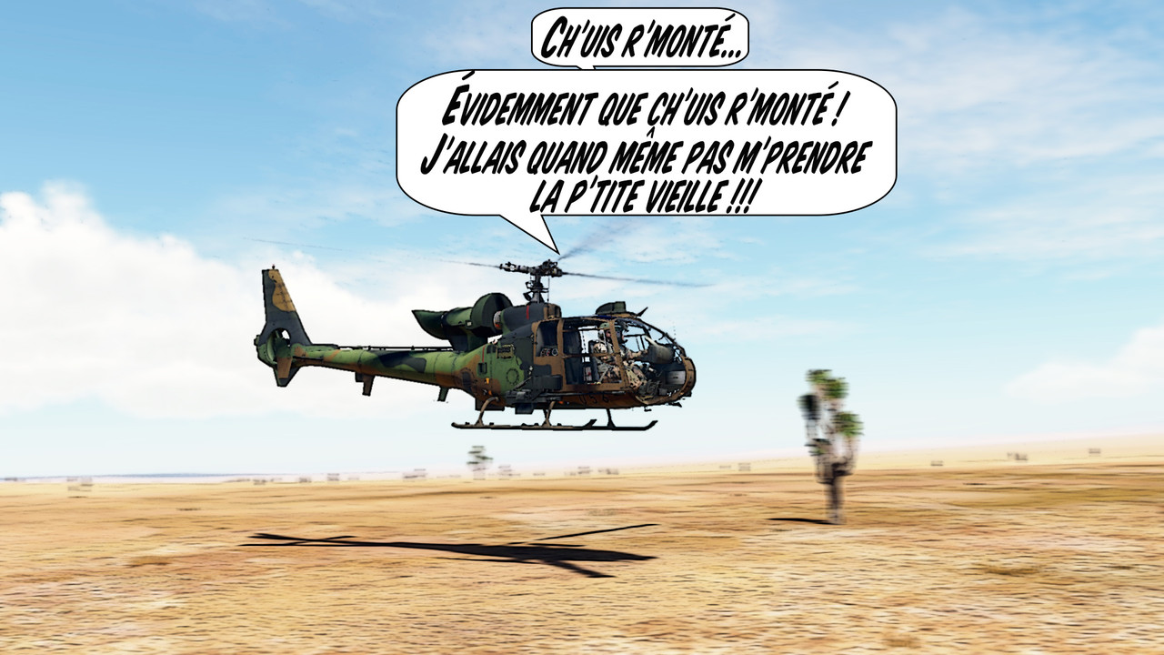 Pilote-Virtuel.com - Forum de simulation aérienne / [DCS]Un peu d'humour  dans un monde de brutes...