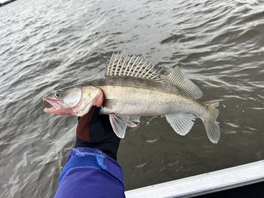 04A5B1D9-8F86-4C49-AAB1-7B7444B8CB03