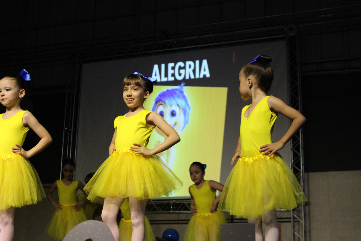 Apresentação de dança (Ballet) (132)