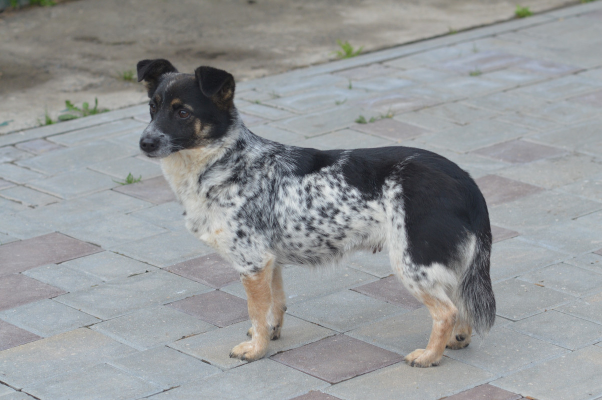 05C1DD43-53FC-4F5E-B338-47F36C52C5B4