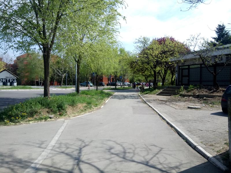 Slika