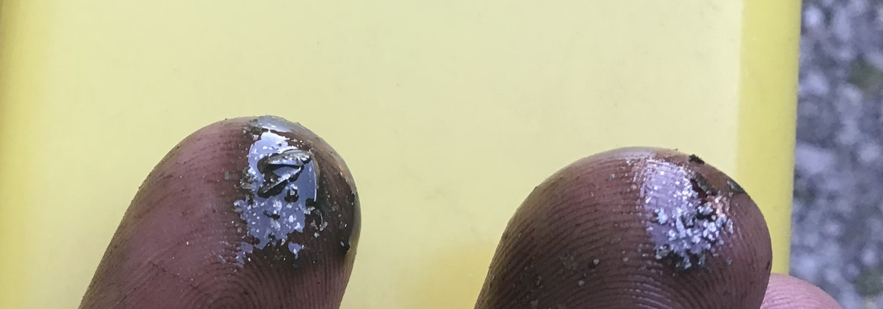 B0EFF1D7-706D-42CD-9C7D-09660D88DCA7