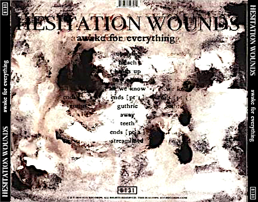 Hesitation Wounds Awake For Everything back