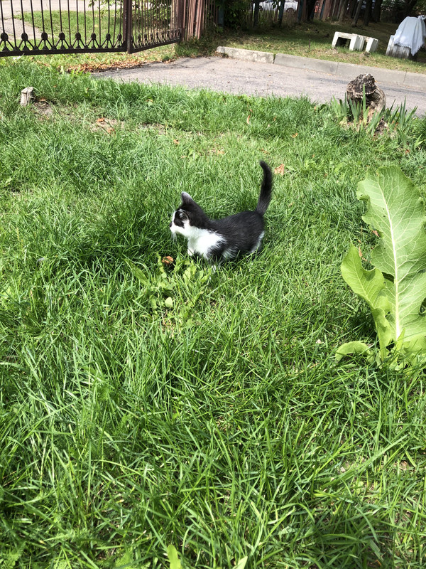 99322EC2-6FFB-43E7-9A96-58ADD780B214