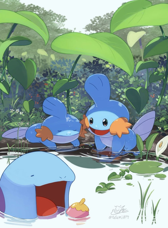 mudkip-and-quagsire-pokemon-drawn-by-tat