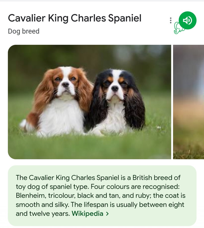 Screenshot_20230519-193601_Chrome