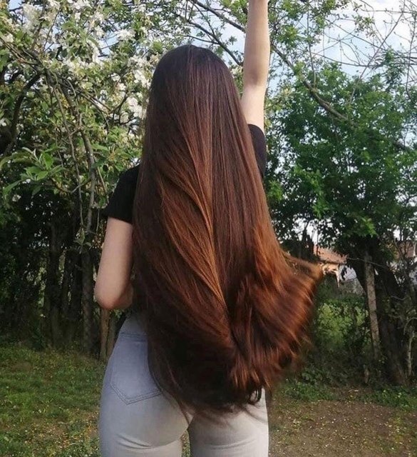 [Image: 92775635-61-C2-440-B-B04-B-07-C047-F50-FB1.jpg]