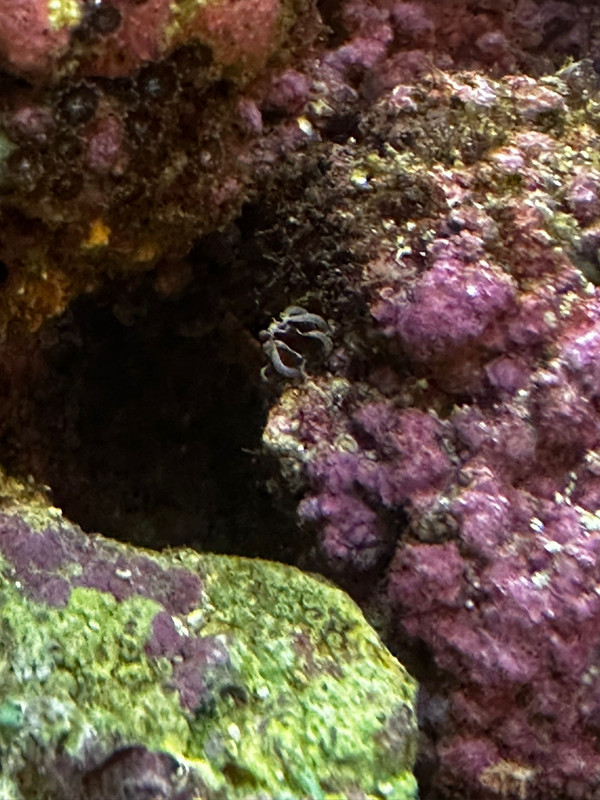 WhatsApp Image 2025-01-13 at 17.09.53(3)