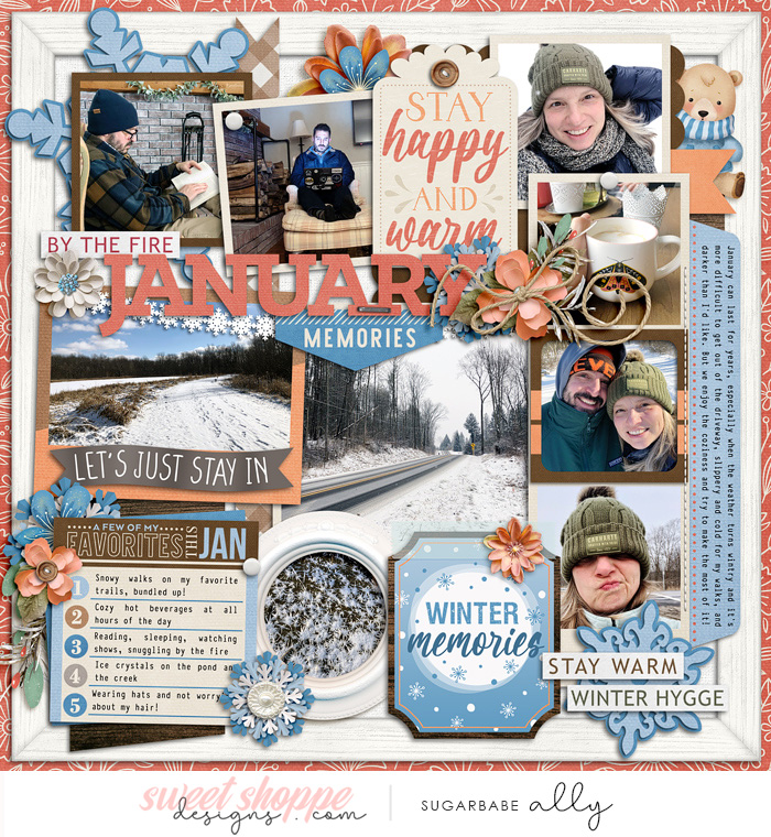 allyanne-01Jan-Recap-Cozy-Winter-WM.jpg