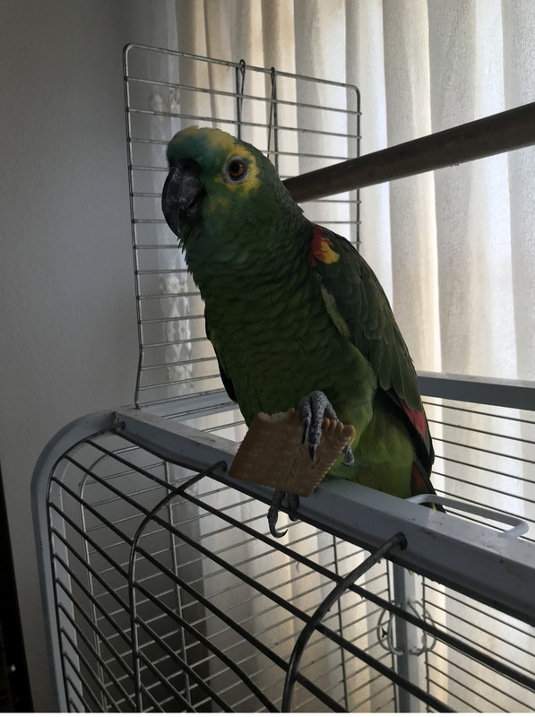 6894C777-ED86-4C5E-A8E1-AABEEE93ABD7