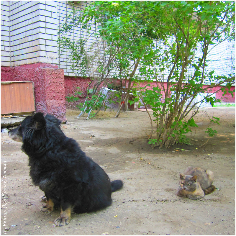 IMG-4974-2015