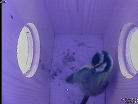 46AB6A69-6516-4883-BA50-B313ECD1B678