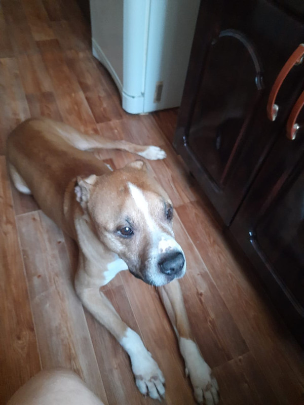 CC9361FB-B315-49AC-9908-0EE017DB73D0