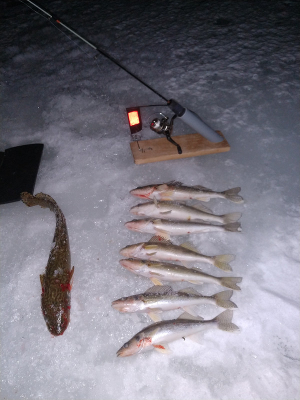 IMG_20210224_194650995