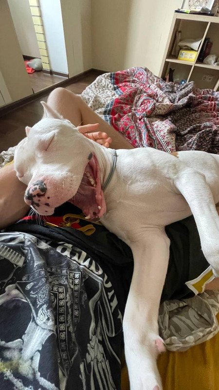 31AB2D4B-7334-48BF-B153-DA43145A50A9