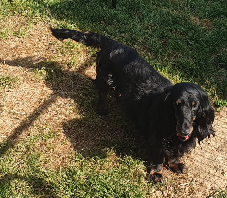 [Image: 20230624-081511.jpg]