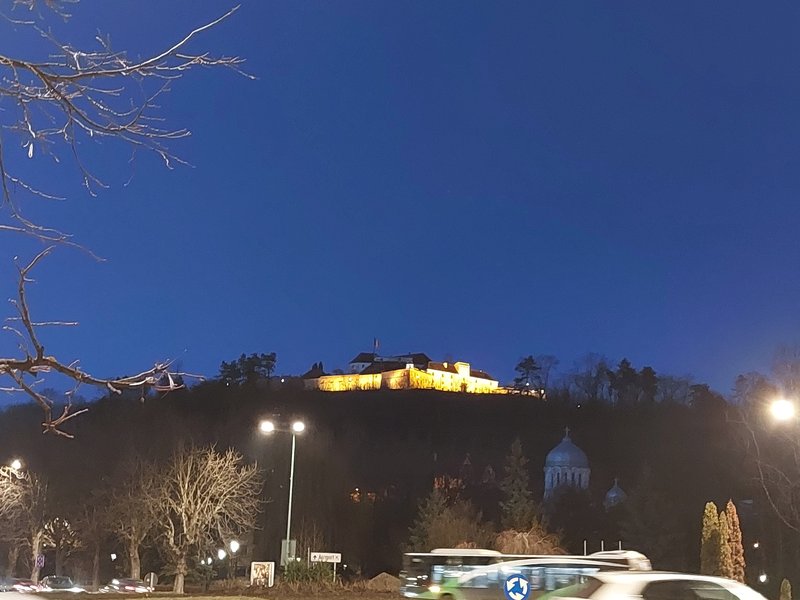 Slika