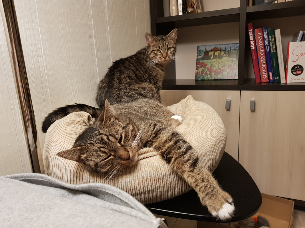 20190123-235138.jpg