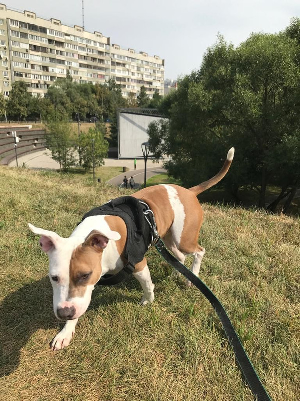 4A2F75B1-7588-4B56-A1F1-BF1D45B347A5