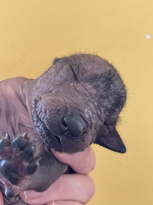 E34793FB-7AB1-4281-B0D9-3F79BDA118C1