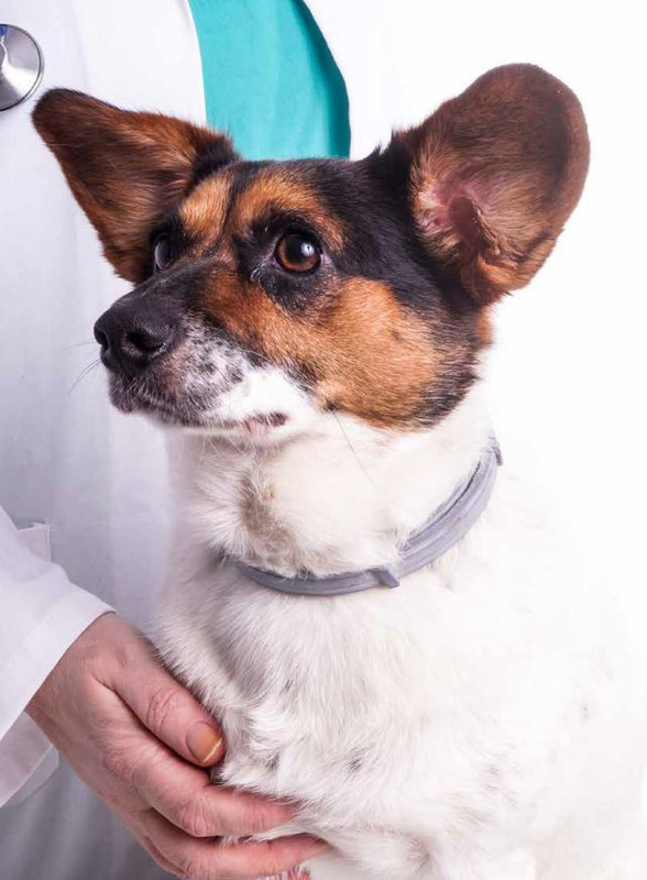 Il M C Lug-Ago 2024 (10)