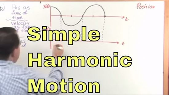 Physics 2 Video Tutor, Vol. 2: Oscillations and Waves