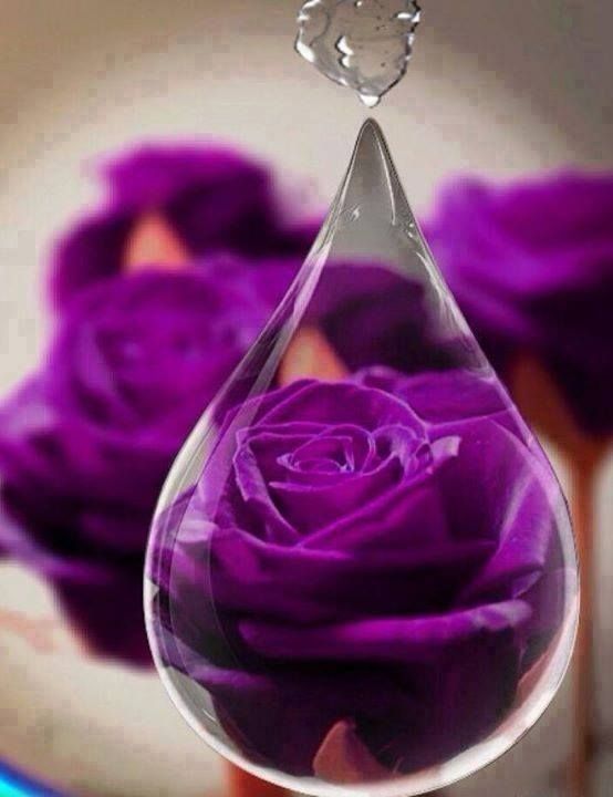 purple-globe.jpg