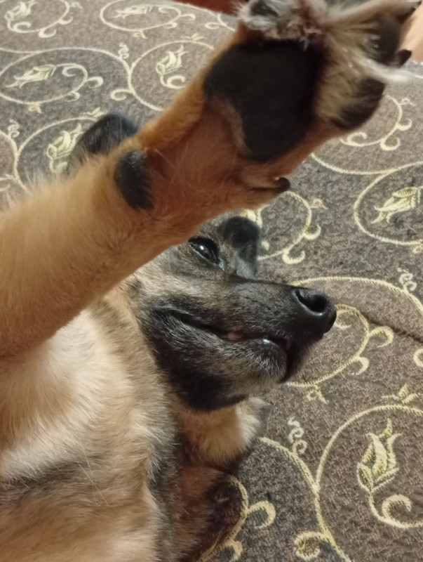 IMG bdd1f980f9cfdb61a4245deb9c01f366 V