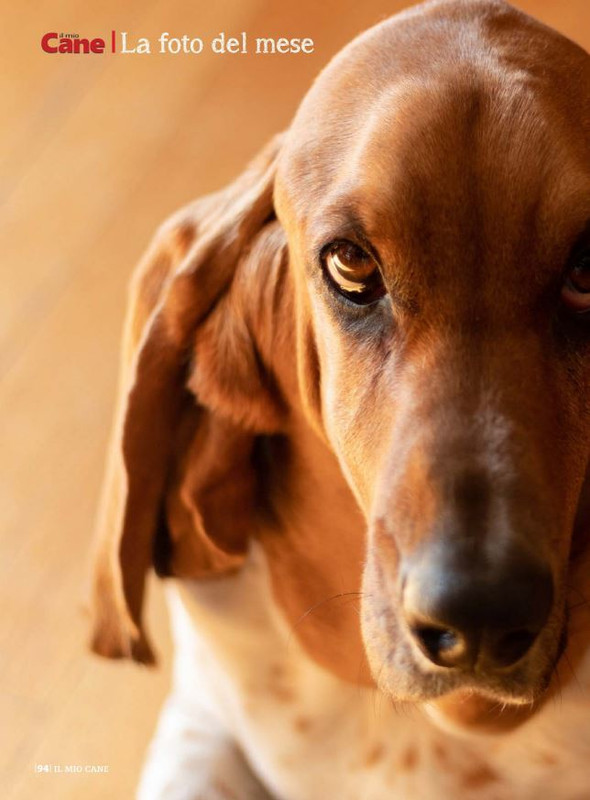 Il M C Ott 2021 (11)