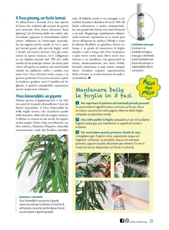 Pol Ver Ago 2023 (4)