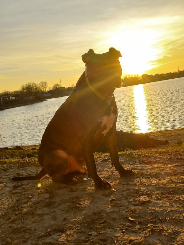 D41F3163-B775-4431-93A2-45BC51BE7CBE